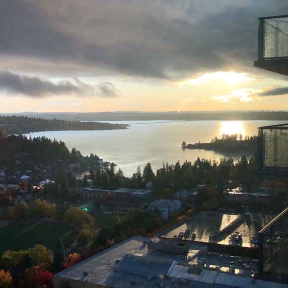 Meet your Posher, Cooper - Picture 1 of 1